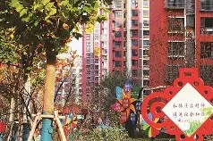 开云体育-社区盾赛后走向成谜，多伦多猛龙单刀错失，底气十足，控场能力受关注的简单介绍